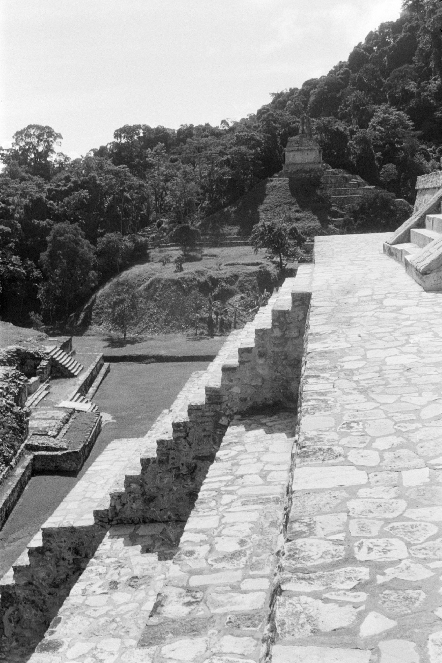 AHP FilmScan 240807 0645